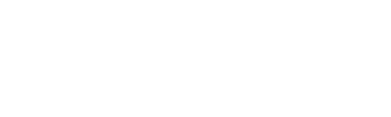 Diana Shipping Services logo